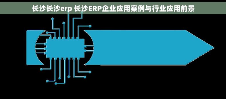 长沙长沙erp 长沙ERP企业应用案例与行业应用前景