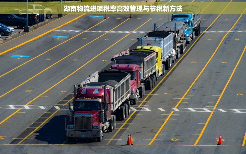 湖南物流进项税率高效管理与节税新方法