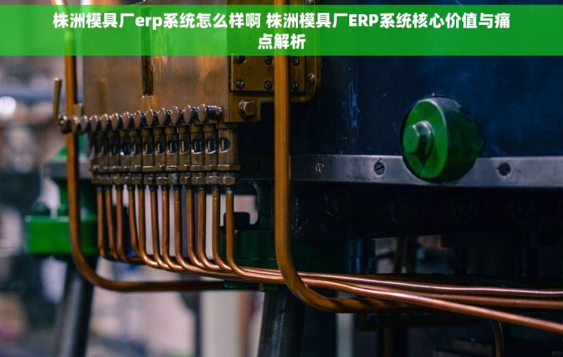 株洲模具厂erp系统怎么样啊 株洲模具厂ERP系统核心价值与痛点解析