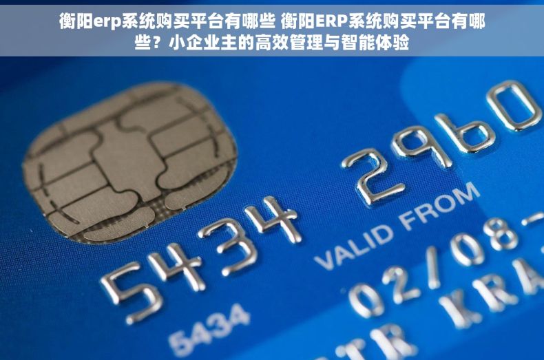 衡阳erp系统购买平台有哪些 衡阳ERP系统购买平台有哪些？小企业主的高效管理与智能体验