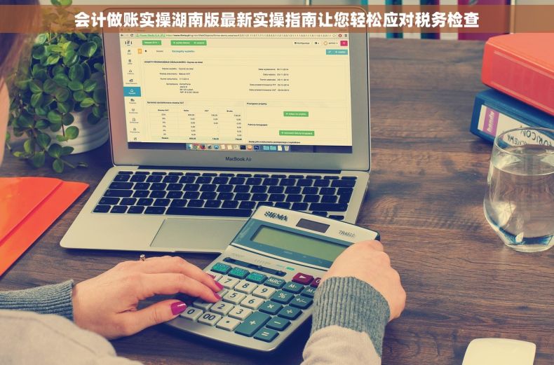 会计做账实操湖南版最新实操指南让您轻松应对税务检查 会计做账实操湖南版最新实操指南让您轻松应对税务检查