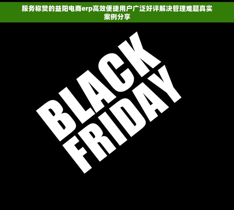 服务称赞的益阳电商erp高效便捷用户广泛好评解决管理难题真实案例分享