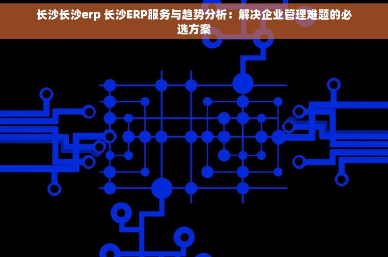 长沙长沙erp 长沙ERP服务与趋势分析：解决企业管理难题的必选方案