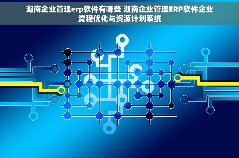 湖南企业管理erp软件有哪些 湖南企业管理ERP软件企业流程优化与资源计划系统