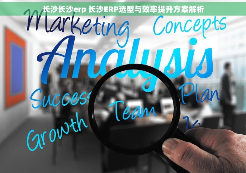 长沙长沙erp 长沙ERP选型与效率提升方案解析