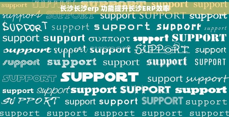 长沙长沙erp 功能提升长沙ERP效率 长沙长沙erp 功能提升长沙ERP效率