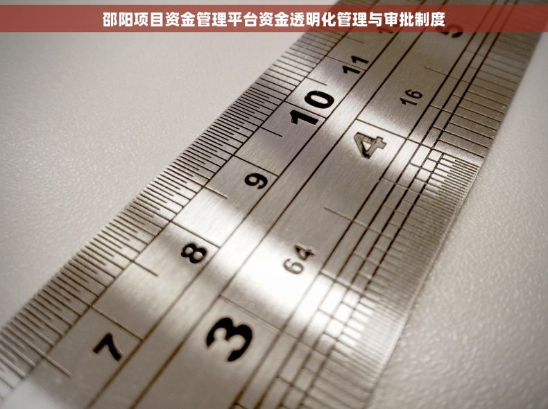 邵阳项目资金管理平台资金透明化管理与审批制度
