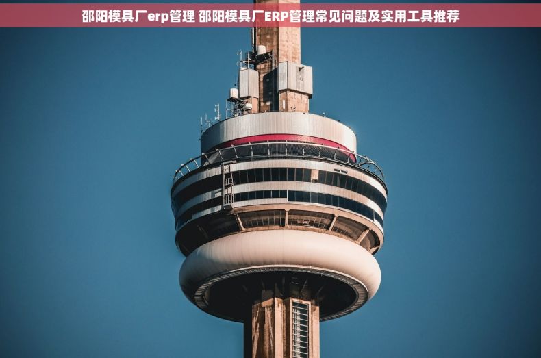 邵阳模具厂erp管理 邵阳模具厂ERP管理常见问题及实用工具推荐