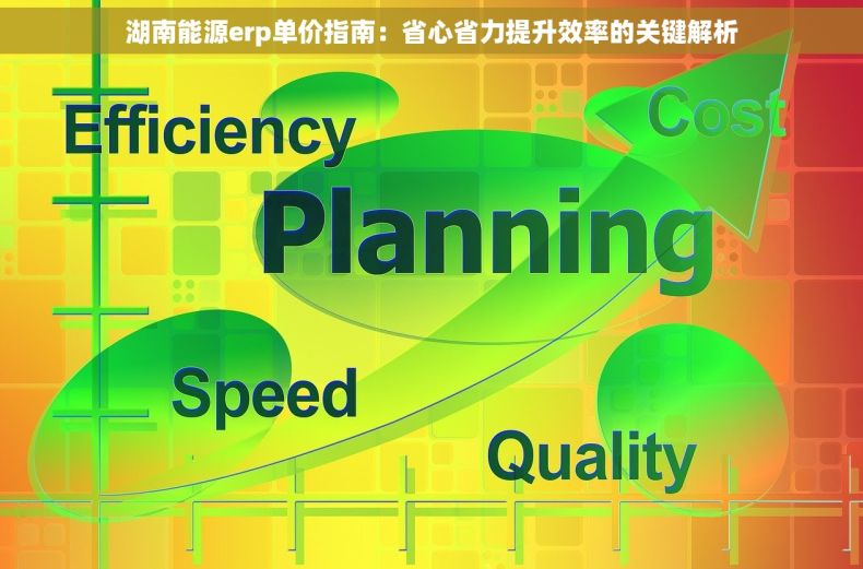 湖南能源erp单价指南：省心省力提升效率的关键解析