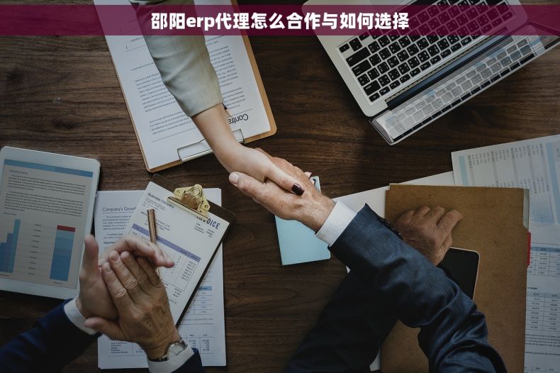 邵阳erp代理怎么合作与如何选择