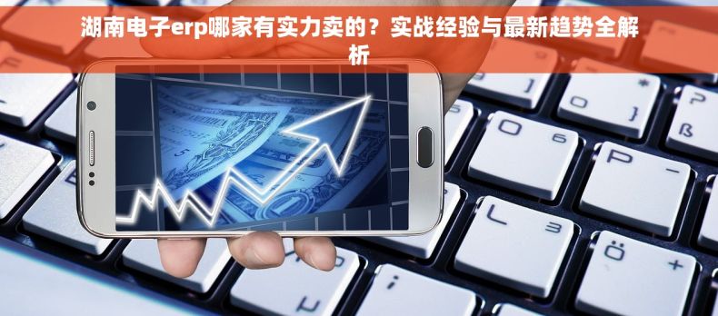 湖南电子erp哪家有实力卖的？实战经验与最新趋势全解析