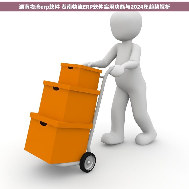 湖南物流erp软件 湖南物流ERP软件实用功能与2024年趋势解析