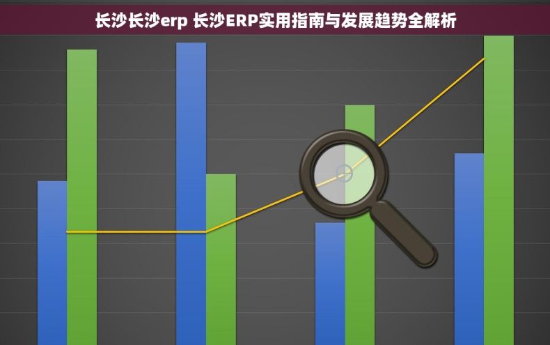 长沙长沙erp 长沙ERP实用指南与发展趋势全解析 长沙长沙erp 长沙ERP实用指南与发展趋势全解析
