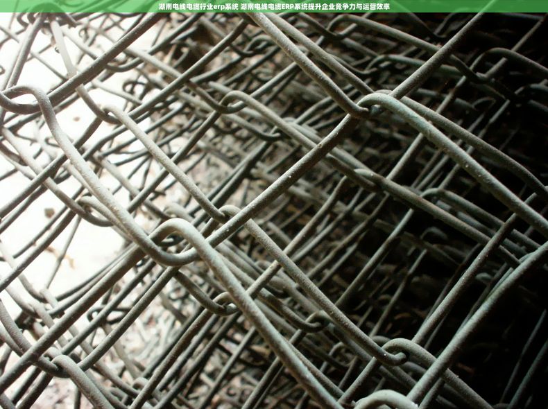 湖南电线电缆行业erp系统 湖南电线电缆ERP系统提升企业竞争力与运营效率