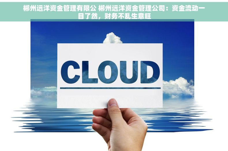 郴州远洋资金管理有限公 郴州远洋资金管理公司：资金流动一目了然，财务不乱生意旺