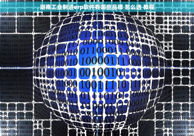湖南工业制造erp软件有哪些品牌 怎么选 教程