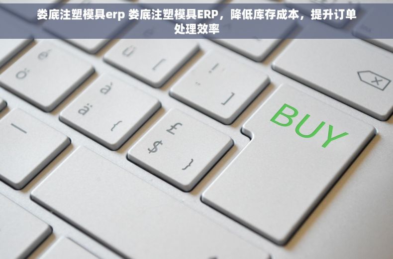 娄底注塑模具erp 娄底注塑模具ERP，降低库存成本，提升订单处理效率
