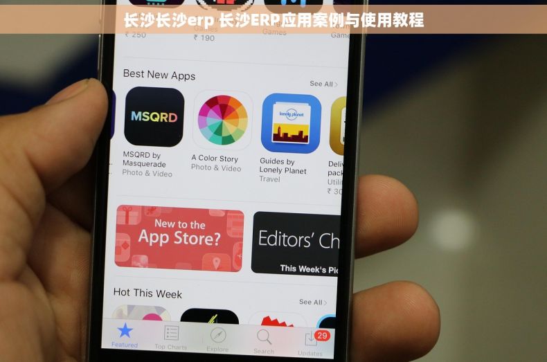 长沙长沙erp 长沙ERP应用案例与使用教程