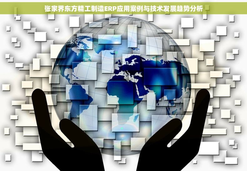 张家界东方精工制造ERP应用案例与技术发展趋势分析