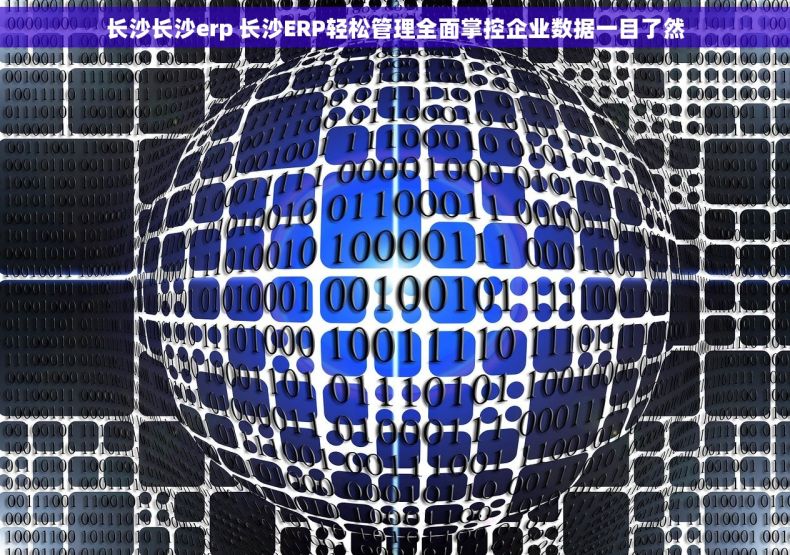 长沙长沙erp 长沙ERP轻松管理全面掌控企业数据一目了然