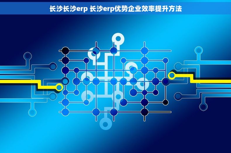 长沙长沙erp 长沙erp优势企业效率提升方法