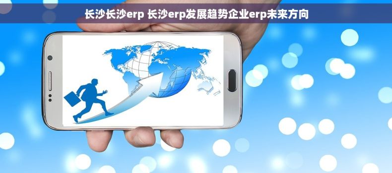 长沙长沙erp 长沙erp发展趋势企业erp未来方向