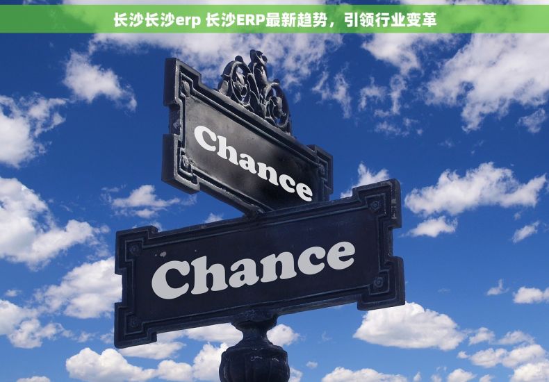 长沙长沙erp 长沙ERP最新趋势，引领行业变革