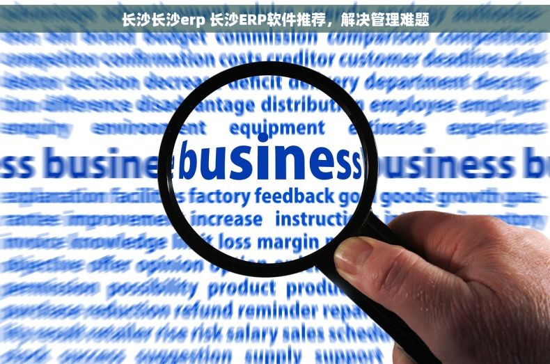 长沙长沙erp 长沙ERP软件推荐，解决管理难题