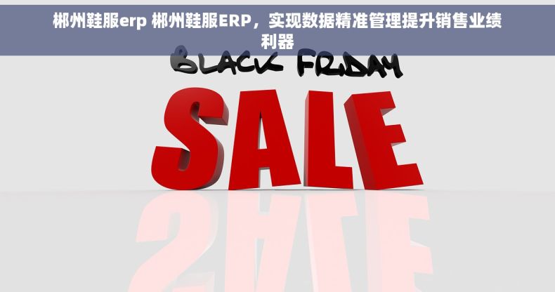 郴州鞋服erp 郴州鞋服ERP，实现数据精准管理提升销售业绩利器