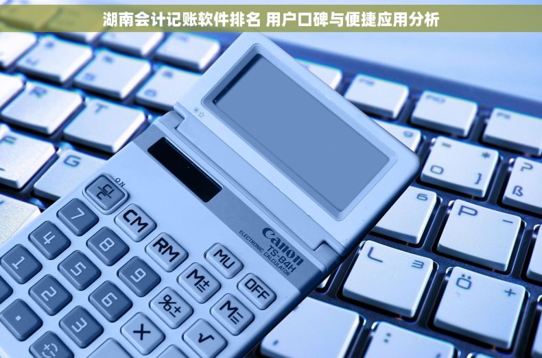 湖南会计记账软件排名 用户口碑与便捷应用分析