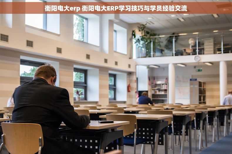 衡阳电大erp 衡阳电大ERP学习技巧与学员经验交流