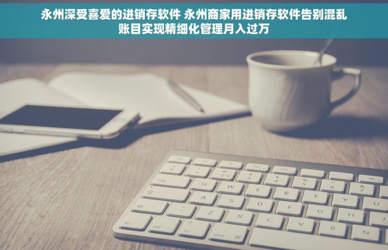 永州深受喜爱的进销存软件 永州商家用进销存软件告别混乱账目实现精细化管理月入过万