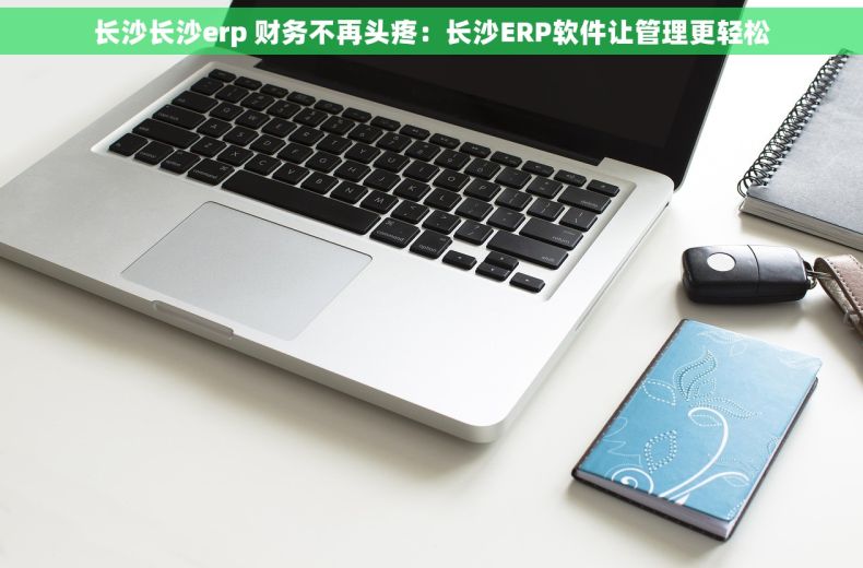长沙长沙erp 财务不再头疼：长沙ERP软件让管理更轻松
