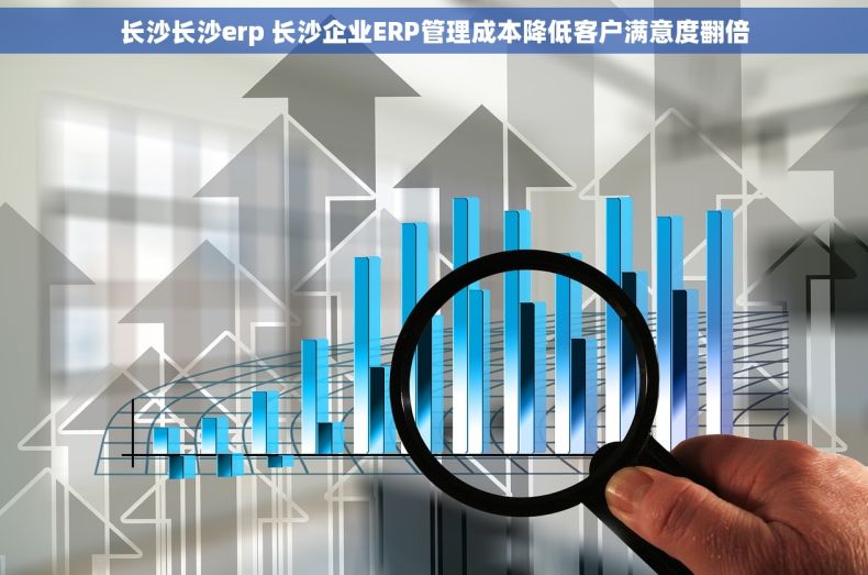 长沙长沙erp 长沙企业ERP管理成本降低客户满意度翻倍 长沙长沙erp 长沙企业ERP管理成本降低客户满意度翻倍