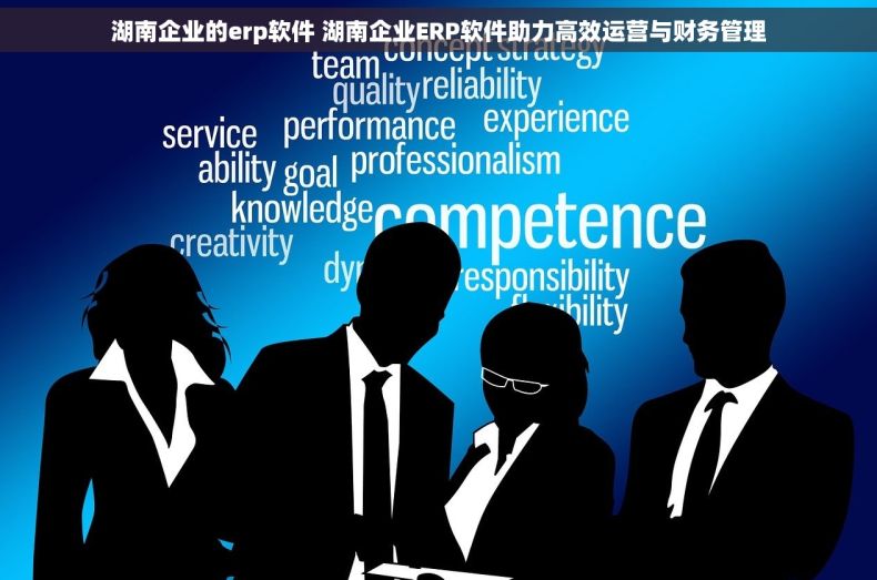 湖南企业的erp软件 湖南企业ERP软件助力高效运营与财务管理