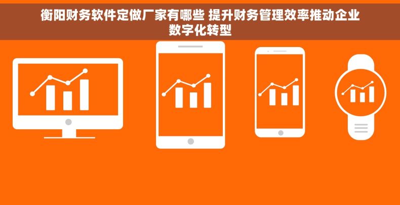 衡阳财务软件定做厂家有哪些 提升财务管理效率推动企业数字化转型