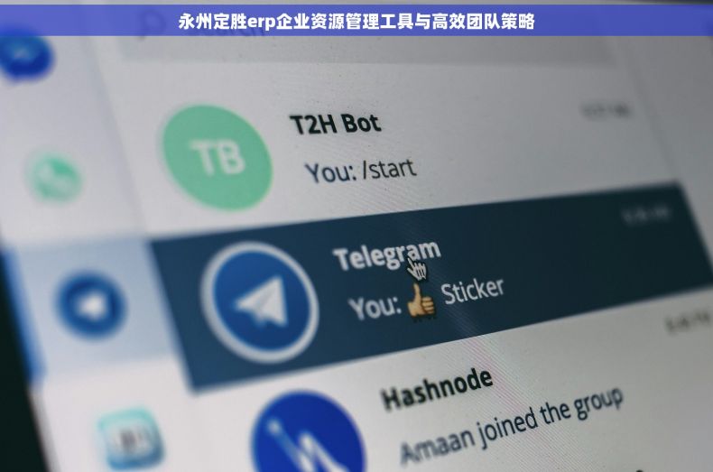 永州定胜erp企业资源管理工具与高效团队策略