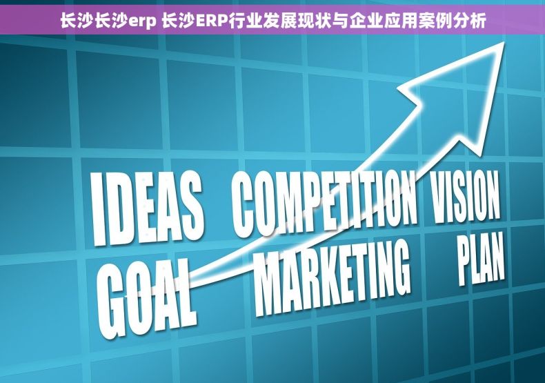 长沙长沙erp 长沙ERP行业发展现状与企业应用案例分析