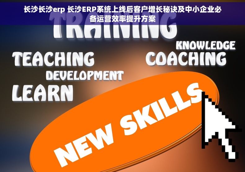长沙长沙erp 长沙ERP系统上线后客户增长秘诀及中小企业必备运营效率提升方案 长沙长沙erp 长沙ERP系统上线后客户增长秘诀及中小企业必备运营效率提升方案