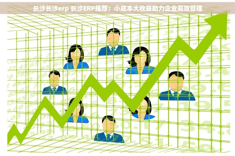长沙长沙erp 长沙ERP推荐：小成本大收益助力企业高效管理