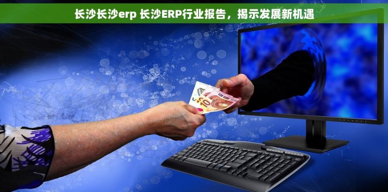 长沙长沙erp 长沙ERP行业报告，揭示发展新机遇