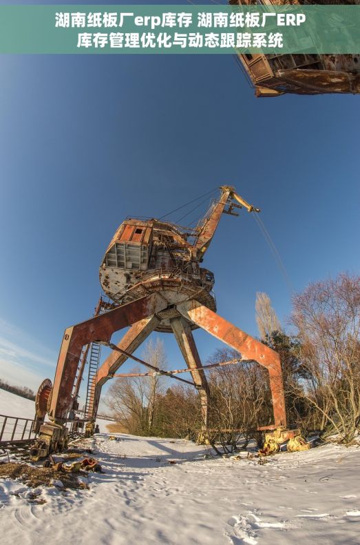 湖南纸板厂erp库存 湖南纸板厂ERP库存管理优化与动态跟踪系统