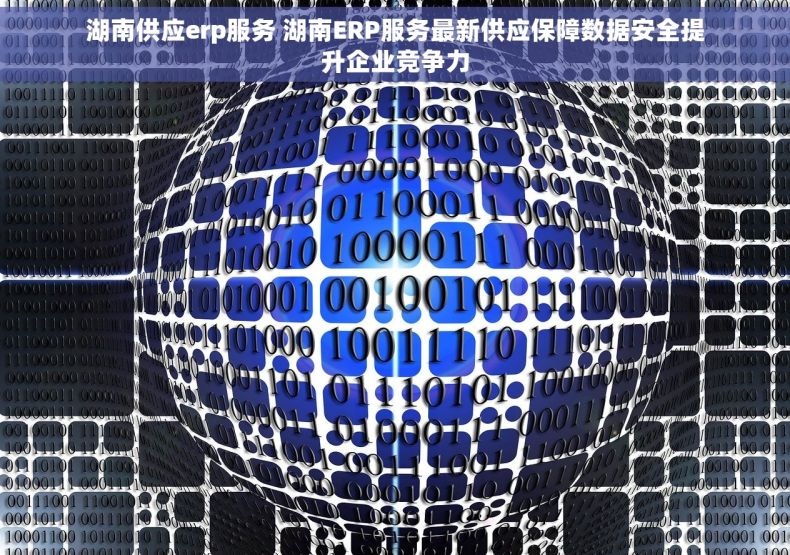 湖南供应erp服务 湖南ERP服务最新供应保障数据安全提升企业竞争力 湖南供应erp服务 湖南ERP服务最新供应保障数据安全提升企业竞争力