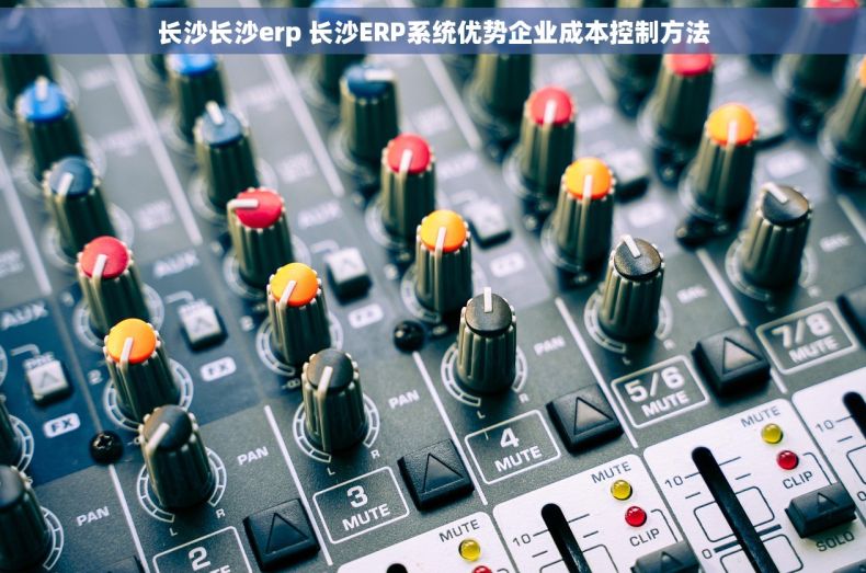 长沙长沙erp 长沙ERP系统优势企业成本控制方法