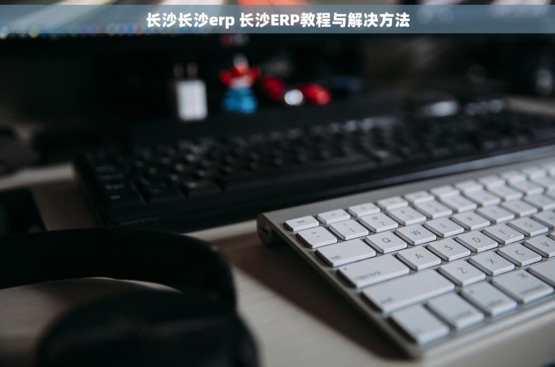 长沙长沙erp 长沙ERP教程与解决方法