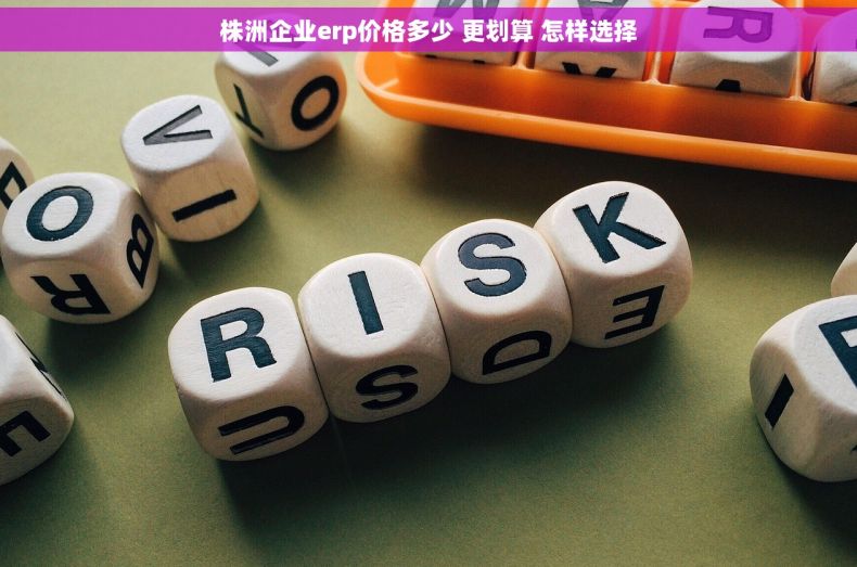 株洲企业erp价格多少 更划算 怎样选择 株洲企业erp价格多少 更划算 怎样选择