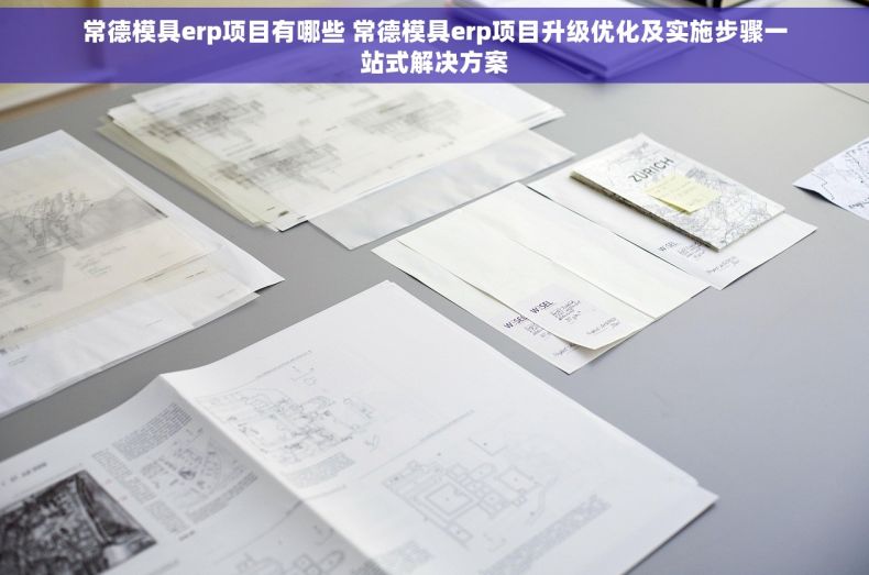 常德模具erp项目有哪些 常德模具erp项目升级优化及实施步骤一站式解决方案