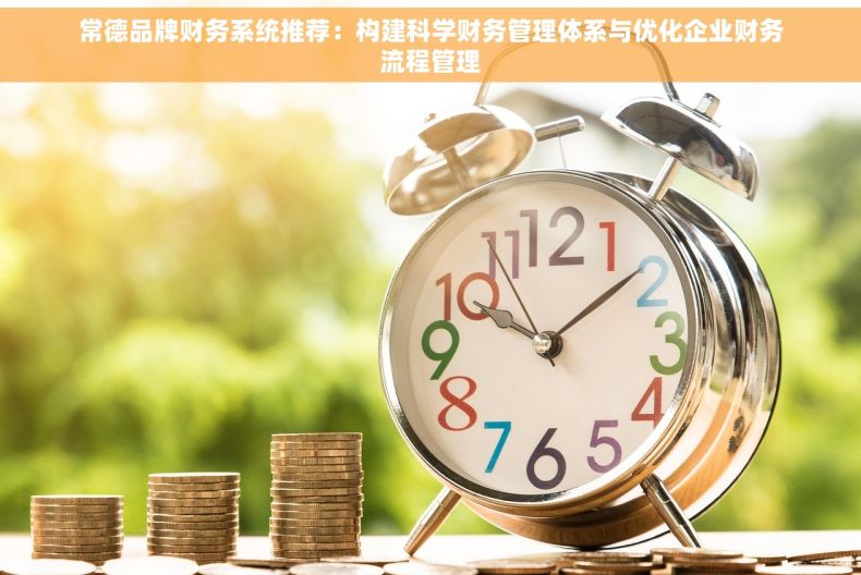 常德品牌财务系统推荐：构建科学财务管理体系与优化企业财务流程管理