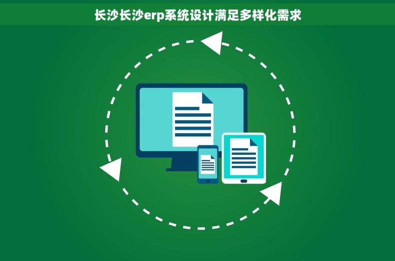 长沙长沙erp系统设计满足多样化需求