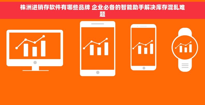 株洲进销存软件有哪些品牌 企业必备的智能助手解决库存混乱难题